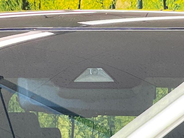 アルファード 2.5S タイプゴールド フリップダウンモニター 純正9インチナビ バックカメラ 両側パワースライドドア デジタルインナーミラー ブラインドスポットモニター クルーズコントロール パワーバックドア トヨタセーフティーセンス(42枚目)