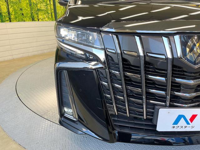 アルファード 2.5S タイプゴールド フリップダウンモニター 純正9インチナビ バックカメラ 両側パワースライドドア デジタルインナーミラー ブラインドスポットモニター クルーズコントロール パワーバックドア トヨタセーフティーセンス(63枚目)