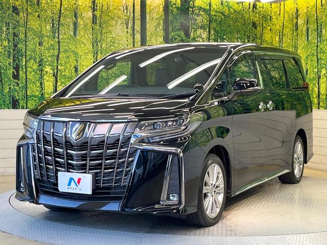 アルファード 2.5S タイプゴールド フリップダウンモニター 純正9インチナビ バックカメラ 両側パワースライドドア デジタルインナーミラー ブラインドスポットモニター クルーズコントロール パワーバックドア トヨタセーフティーセンス(64枚目)