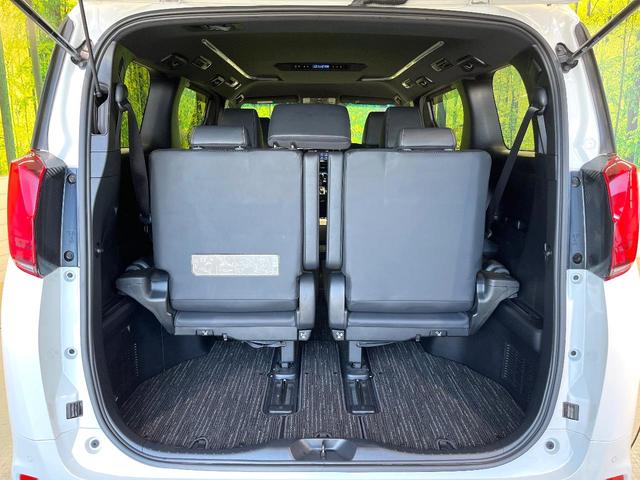 アルファード ２．５Ｓ　タイプゴールド　セーフティサポート　純正９型ナビ　バックカメラ　フルセグ　レーダークルーズ　両側電動ドア　電動リアゲート　リアオートエアコン　ＡＣ１００Ｖ電源　ＬＥＤヘッド＆フォグ　オートハイビーム　スマートキー（41枚目）