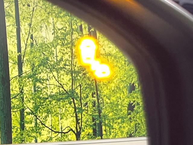 フリード クロスター　登録済未使用車　純正９型ナビ　バックカメラ　ホンダセンシング　レーダークルーズ　両側電動ドア　ハーフレザー　シートヒーター　ブラインドスポットモニター　オートエアコン　スマートキー　ＬＥＤヘッド（29枚目）