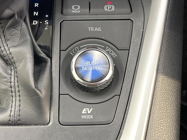 RAV4 ハイブリッドアドベンチャー 4WD バックカメラ 衝突被害軽減システム レーダークルーズ レザー調シート 前席シートエアコン パワーシート ドラレコ コーナーセンサー スマートキー LEDヘッド ETC2.0(62枚目)