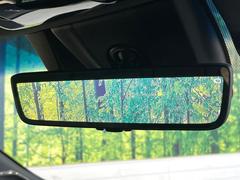 �ڥǥ����륤��ʡ��ߥ顼�۸��ʤ��礭�ʲ�ʪ��Ʊ��ԤǸ�������ǧ���Ť餤���Ǥ�¿�������餬���Ƥ�����ξ�����α�����롼��ߥ顼���ɽ�������ꥢ�ʻ볦�Ǿ����γ�ǧ����ǽ�Ǥ��� 4