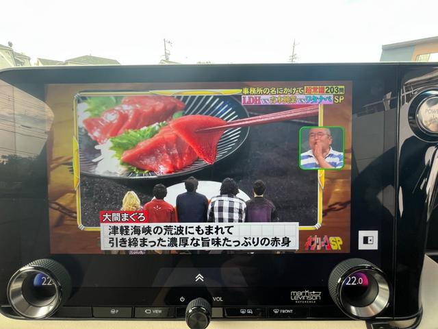 LM LM500h バージョンL 事前確認車両 パノラマビュー 3眼フルLED レクサスチームメイト デジタルインナーミラー 12.3インチTFTメーター マークレビンソン リアエンターテイメント 禁煙車(44枚目)