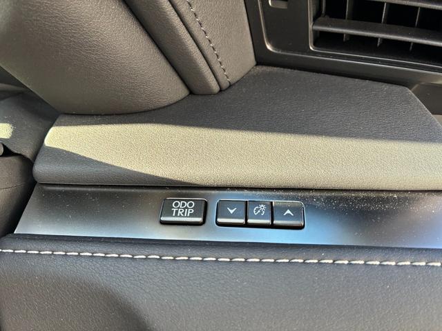 �f�B�[���[�n�̃I�[�N�V������ꂩ��̎d���ꂪ�قƂ�ǂł��̂ŁA������������Ȃ����x�ɂ����M�L��O�O