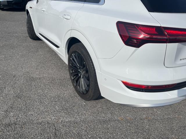 e-トロン 50クワトロ アドバンスト 4WD アシスタンス+コンフォート+サイレンスPKG パノラマルーフ 21インチAWOPバーチャルエクステリアミラー OPグレー革シート 3Dサウンドシステム 4ゾーンエアコン 電動リアゲート(14枚目)