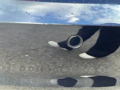 ŪԶΥȥ֥򤱤١򡦻Τ֤ŸƤޤ󡰡 7