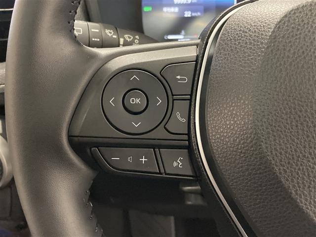 ＲＡＶ４ Ｇ　サンルーフ　４ＷＤ　ミュージックプレイヤー接続可　バックカメラ　衝突被害軽減システム　ＥＴＣ　ドラレコ　ＬＥＤヘッドランプ（18枚目）