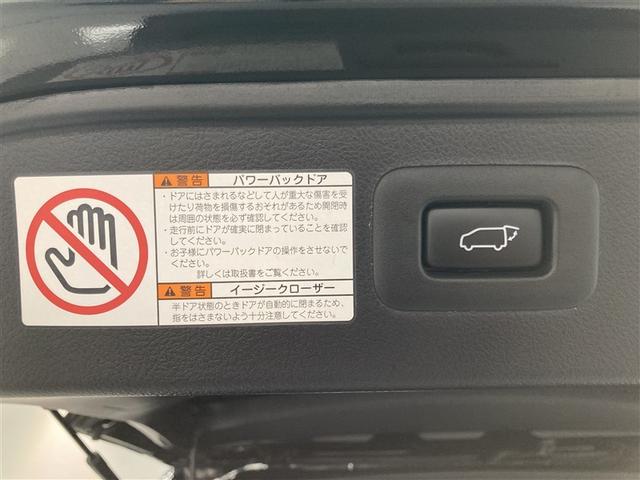 ヴェルファイア 2.5Z Aエディション ゴールデンアイズ フルセグ メモリーナビ DVD再生 ミュージックプレイヤー接続可 後席モニター バックカメラ 衝突被害軽減システム ETC 両側電動スライド LEDヘッドランプ 乗車定員7人 3列シート(11枚目)