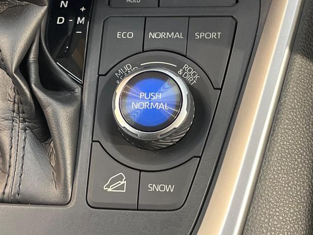 ＲＡＶ４ アドベンチャー　４ＷＤ　純正９型ナビ　バックカメラ　クリアランスソナー　レーダークルーズ　ＥＴＣ車載器　シートヒーター　シートクーラー　ステリングヒーター　合皮レザーシート　ＬＥＤヘッド　純正１９ＡＷ　ワンオーナー（28枚目）