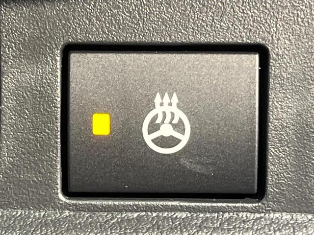 デリカミニ Ｔ　プレミアム　衝突軽減　ＳＤナビ　全周囲カメラ　マイパイロット　両側電動ドア　デジタルミラー　シートヒーター　純正革巻きステリング　ハーフレザー　ＬＥＤヘッド　純正１５ＡＷ　ドラレコ　ＥＴＣ　ステアリングヒーター（31枚目）