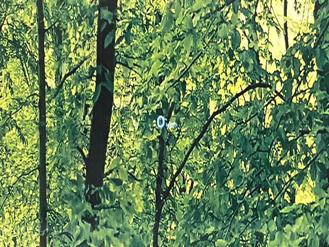 ＣＸ－５ ２０Ｓ　プロアクティブ　ＢＯＳＥサウンド　メーカーナビ　全周囲カメラ　衝突軽減ブレーキ　クリアランスソナー　レーダークルーズ　パワーバックドア　ＥＴＣ　ＬＥＤヘッド　純正１７ＡＷ　パワーシート　シートヒーター　禁煙車（27枚目）