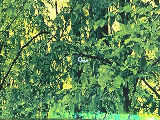 CX-5 25S スポーツアピアランス 純正10.25インチナビ 全周囲カメラ BOSEサウンド SIGNATURESTYLEエアロ 衝突軽減システム レーダークルーズ 電動リアゲート シートメモリー ETC 純正19インチアルミ(28枚目)