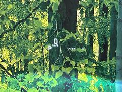 ڥإåɥåץǥץ쥤۸ߤ®٤ԾǥɽǱžΥ饹ơž桢򤺤餵ɬפʾǧǤΤǤȤäƤǰ¿ 7