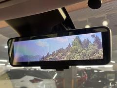 �ڥ���ƥꥸ����ȥ롼��ߥ顼�۸��ʤ��礭�ʲ�ʪ��Ʊ��ԤǸ�������ǧ���Ť餤���Ǥ�¿�������餬���Ƥ�����ξ�����α�����롼��ߥ顼���ɽ�������ꥢ�ʻ볦�Ǿ����γ�ǧ����ǽ�Ǥ��� 6