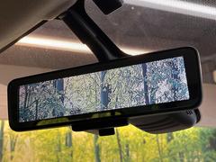 �ڥ���ƥꥸ����ȥ롼��ߥ顼�۸��ʤ��礭�ʲ�ʪ��Ʊ��ԤǸ�������ǧ���Ť餤���Ǥ�¿�������餬���Ƥ�����ξ�����α�����롼��ߥ顼���ɽ�������ꥢ�ʻ볦�Ǿ����γ�ǧ����ǽ�Ǥ��� 7