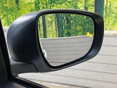 �ڥ����ȥҡ������۴������˽������륷���ȥҡ������������������᤯���ޤäƤ����ΤǴ�����οͤ�¿��Ǥ��͢���������β����ϴ��礹�뤫���ꡢ�Ȥ������ˤ�򤪤�����Ǥ��� 6