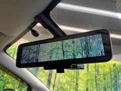 �ڥ���ƥꥸ����ȥ롼��ߥ顼�۸��ʤ��礭�ʲ�ʪ��Ʊ��ԤǸ�������ǧ���Ť餤���Ǥ�¿�������餬���Ƥ�����ξ�����α�����롼��ߥ顼���ɽ�������ꥢ�ʻ볦�Ǿ����γ�ǧ����ǽ�Ǥ��� 6