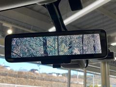 �ڥ���ƥꥸ����ȥ롼��ߥ顼�۸��ʤ��礭�ʲ�ʪ��Ʊ��ԤǸ�������ǧ���Ť餤���Ǥ�¿�������餬���Ƥ�����ξ�����α�����롼��ߥ顼���ɽ�������ꥢ�ʻ볦�Ǿ����γ�ǧ����ǽ�Ǥ��� 6