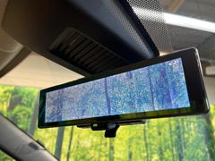 �ڥ���ƥꥸ����ȥ롼��ߥ顼�۸��ʤ��礭�ʲ�ʪ��Ʊ��ԤǸ�������ǧ���Ť餤���Ǥ�¿�������餬���Ƥ�����ξ�����α�����롼��ߥ顼���ɽ�������ꥢ�ʻ볦�Ǿ����γ�ǧ����ǽ�Ǥ��� 6