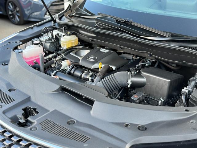 ＲＸ ＲＸ３００　バージョンＬ　ＬｅｘｕｓＳａｆｅｔｙＳｙｓｔｅｍ＋・パーキングサポートブレーキ・三眼フルＬＥＤヘッドランプ・ヘッドアップディスプレイ・前後ドライブレコーダー・ナビＴＶ・パノラミックビューモニター・ＥＴＣ２．０（66枚目）