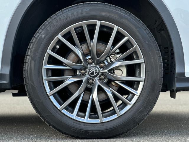 ＲＸ ＲＸ４５０ｈ　Ｆスポーツ　ムーンルーフ・前後ドラレコ・ＬｅｘｕｓＳａｆｅｔｙＳｙｓｔｅｍ＋・ブラインドスポットモニター・三眼フルＬＥＤヘッド・シートヒーター＆ベンチレーション・パワーバックドア・赤本革シート・メモリ付Ｐシート（22枚目）