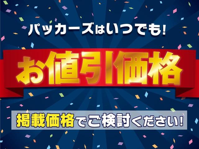 ゴルフ ｅＴＳＩアクティブ　プラチナムエディション　ナビ・ＥＴＣ２．０・前後ドラレコ・Ｂカメラ（65枚目）