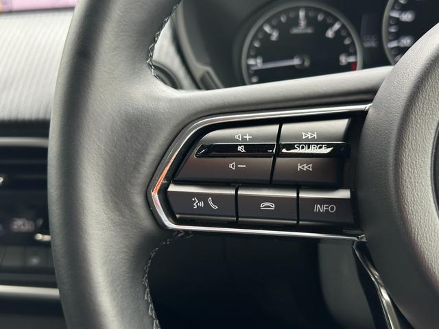 ＣＸ－６０ ＸＤ　Ｓパッケージ　セーフティ＆シースルービューＰＫＧ・ナビ・ＴＶ・パワーリフトゲート＆ドライバー・エマージェンシー・アシストＰＫＧ・ＥＴＣ・Ｐシート・シートヒーター・ステアリングＨ・スペアキー・禁煙車・保証継承（29枚目）