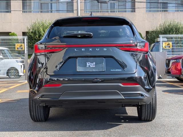 NX ETC2.0・TV・前後ドライブレコーダー・全周囲カメラ・純正フロアマット・電動リアゲート・電動シート(11枚目)