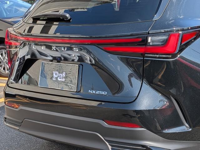 NX ETC2.0・TV・前後ドライブレコーダー・全周囲カメラ・純正フロアマット・電動リアゲート・電動シート(13枚目)