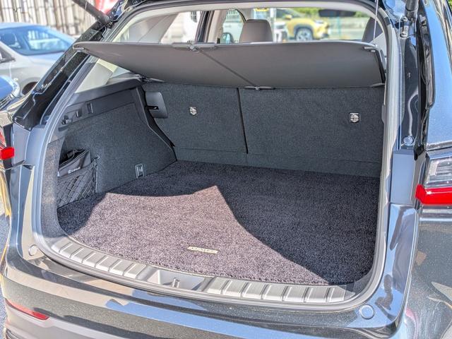 NX ETC2.0・TV・前後ドライブレコーダー・全周囲カメラ・純正フロアマット・電動リアゲート・電動シート(52枚目)