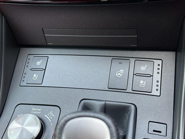 ＩＳ ＩＳ３５０　Ｆスポーツ　本革スポーツシートセット・パノラミックビューモニター・三眼フルＬＥＤヘッドランプ・オレンジブレーキキャリパー・ナビＴＶ・ＥＴＣ２．０・シートヒーター＆ベンチレーション・パワーシート・ドライブレコーダー（43枚目）