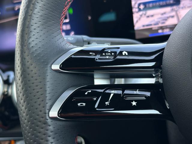 EQB EQB250+ AMGラインパッケージ パノラミックスライディングルーフ・ドライビングアシスタンスPKG・パワーシート・シートヒーター・ナビTV・ETC・360°ビューモニター・カープレイ・パワーバックドア・充電ケーブル・メーカー保証(30枚目)