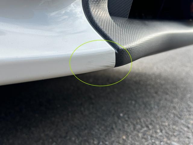 ���Q�D�t�����g�o���p�[�E�����C�菝