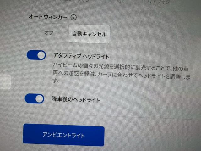 モデル3 ロングレンジ AWD 黒内装 デジタルミラー ドラレコ ETC(34枚目)
