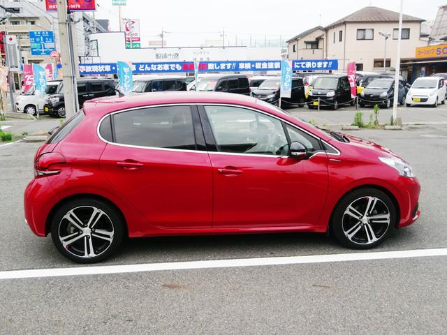 GTライン(9枚目)