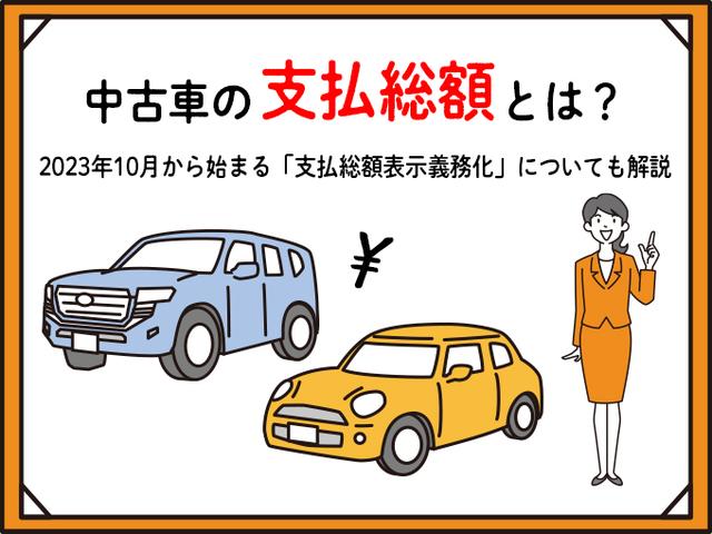 デイズ Ｘ　１年保証　フルセグＴＶバックカメラ付ナビ　Ｂｌｕｅｔｏｏｔｈオーディオ対応ナビ　ワンオーナー禁煙車　衝突軽減ブレーキ＆踏み間違い防止　新品バッテリー交換　純正ドラレコ付（36枚目）