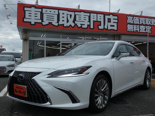 ES ES300h バージョンL ワンオーナー ユーザー買取車 サンルーフ 黒革PWシート PWバックドア HUD BSM パノラミックビュー ドラレコ ETC2.0 シートヒーター シートエアコン ステアリングヒーター USB(9枚目)