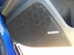 �ףң� �ӣ� ���ӣ������������������֡��ӣԣɥե륨�������ꥢ������ 0710176A30251219W001 6