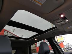 ���ꥢ ���£����塼���ϣңãť�ߥƥåɡ����ףġ������̥�˥��� 0710176A30251226W001 6