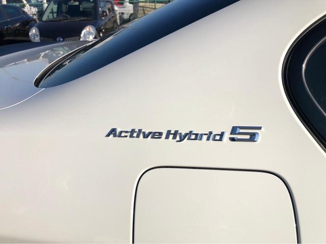 �A�N�e�B�u�n�C�u���b�g�ɂ͓��ʂȃG���u����������