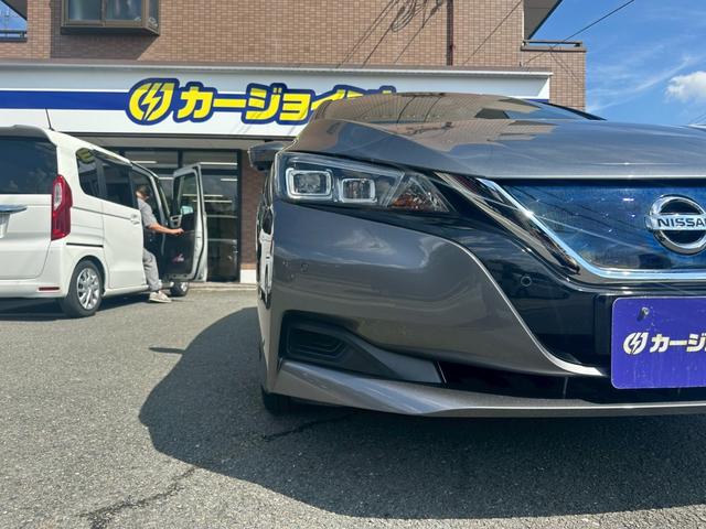 リーフ Ｘ　Ｖセレクション　プロパイロット　インテリジェントミラー　全方位カメラ　１オーナー　禁煙車　前後ドラレコ　ＢＳＭ　ＬＥＤ（46枚目）