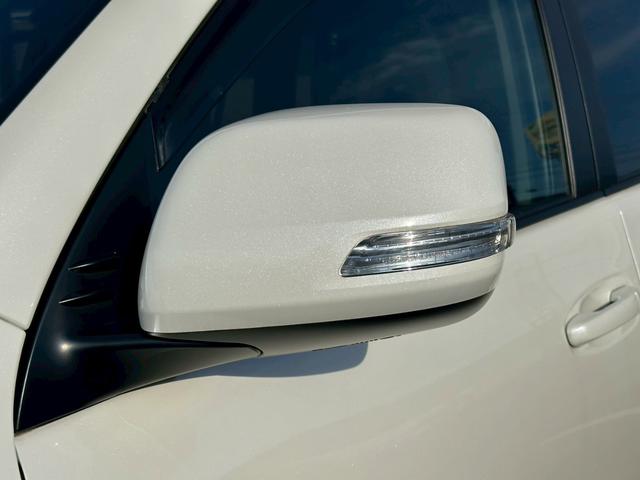 ランドクルーザープラド ＴＸ　ワンオーナー　ムーンルーフ　純正ナビ　　ブラックルーフレール　クリアランスソナー　バックカメラ　ＥＴＣ（41枚目）