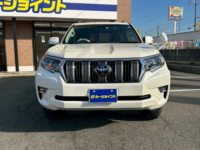 ランドクルーザープラド ＴＸ　ワンオーナー　ムーンルーフ　純正ナビ　　ブラックルーフレール　クリアランスソナー　バックカメラ　ＥＴＣ（47枚目）