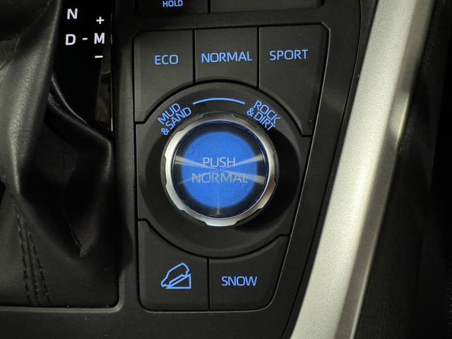 ＲＡＶ４ アドベンチャー　純正デイスプレイオーディオ　ＥＴＣ　ＬＥＤヘッドライト　デジタルインナーミラー　ブレーキアシスト　　プッシュスタート　ステアリングヒーター　Ｂｌｕｅｔｏｏｔｈ　合皮シート　スペアタイヤ（42枚目）
