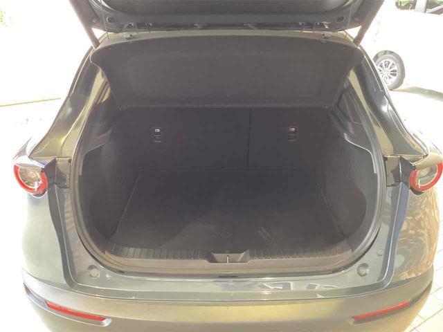 ＣＸ－３０ ２０Ｓ　プロアクティブ　ＥＴＣ　全周囲カメラ　クリアランスソナー　オートクルーズコントロール　オートマチックハイビーム　オートライト　電動リアゲート　アルミホイール　スマートキー　アイドリングストップ　電動格納ミラー　ＡＴ（28枚目）