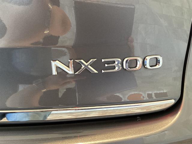ＮＸ ＮＸ３００　バージョンＬ　ドライブレコーダー　全周囲カメラ　オートクルーズコントロール　レーンアシスト　パワーシート　衝突被害軽減システム　ナビ　ＴＶ　オートマチックハイビーム　ＬＥＤヘッドランプ　電動リアゲート（29枚目）