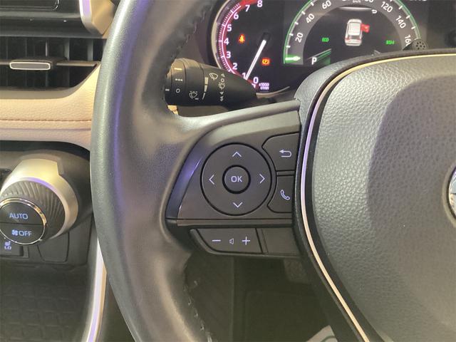 ＲＡＶ４ Ｇ　４ＷＤ　ドライブレコーダー　ＥＴＣ　バックカメラ　クリアランスソナー　オートクルーズコントロール　レーンアシスト　パワーシート　衝突被害軽減システム　ナビ　ＴＶ　オートマチックハイビーム　オートライト（18枚目）