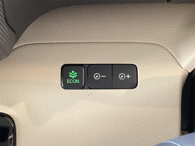 Ｎ－ＢＯＸ Ｇホンダセンシング　ドライブレコーダー　ＥＴＣ　バックカメラ　両側スライドドア　クリアランスソナー　オートクルーズコントロール　レーンアシスト　衝突被害軽減システム　オートライト　スマートキー　アイドリングストップ（23枚目）