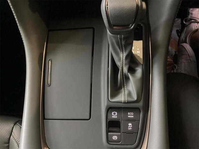 アルファード Z 全周囲カメラ ナビ TV クリアランスソナー オートクルーズコントロール レーンアシスト 衝突被害軽減システム オートマチックハイビーム オートライト LEDヘッドランプ 電動リアゲート スマートキー(14枚目)